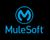 Hushly Observations and Opportunities for Mulesoft August 2022